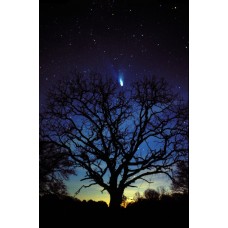 Comet Hale-Bopp Over Georgia #1