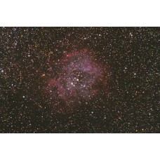 Rosette Nebula