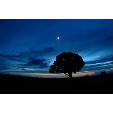 Venus and the Moon over Colorado National Monument
