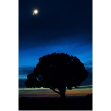Venus and the Moon over Colorado National Monument (Tall)