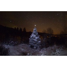 The Christmas Star